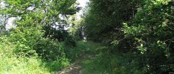 Point d'intérêt Saint-Crépin-aux-Bois - Point 20 - Photo