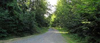 Point d'intérêt Saint-Crépin-aux-Bois - Point 24 - Photo