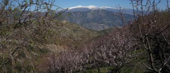 POI Los Guájares - Sierra Nevada - Photo