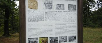 Punto de interés Étalle - Site gallo-romain et cron de Montauban - Photo