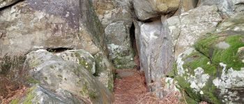 Point of interest Fontainebleau - Unnamed POI - Photo