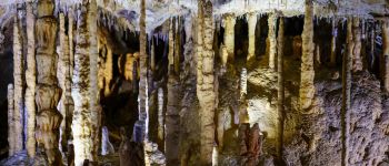 Point d'intérêt Rochefort - La Grotte de Han - Photo