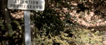 Punto de interés Val-au-Perche - Le Theil-sur-Huisne, au départ de 3 Traversées Percheronnes - Photo