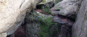 Point d'intérêt Fontainebleau - P Grotte de la Pucelle - Photo