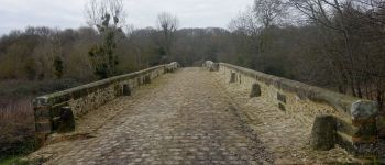 Point d'intérêt Évry-Grégy-sur-Yerre - Pont aux Romains - Photo