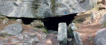 Point d'intérêt Fontainebleau - 3 - Grotte des Barbizonnières - Photo