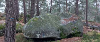 Point d'intérêt Fontainebleau - 9E - N - Pieuvre des Rochers - Photo