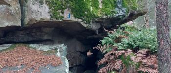 Point d'intérêt Fontainebleau - 9E J - Caverne du Sycophante - Photo
