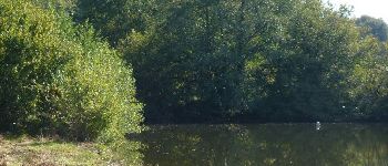 Punto di interesse Écromagny - sur les berges de l'étang - Photo