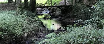 POI Pleudihen-sur-Rance - Ruisseau de l'étang de la Chesnaye - Photo