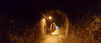 Punto de interés Finnentrop - vleermuistunnel - Photo