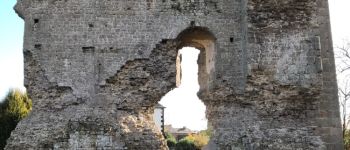 Punto de interés Hédé-Bazouges - Ruines et vestiges - Photo