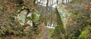 Point d'intérêt Bertrix - Sentier vers Mortehan - Photo