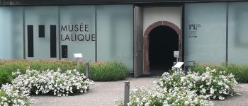 Point d'intérêt Wingen-sur-Moder - Musée Lalique - Photo