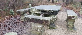 Punto di interesse Fontainebleau - Table du Grand Maitre - Photo