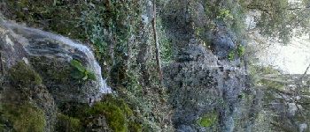 Punto de interés La Roquebrussanne - Source des Auris - Photo