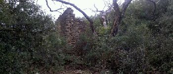 Punto di interesse La Roquebrussanne - Ruine - Photo
