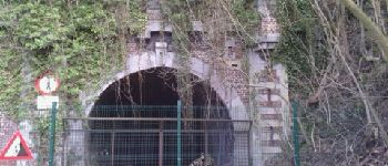 Point d'intérêt Dalhem - Point 1 ancien tunnel trimbleu - Photo