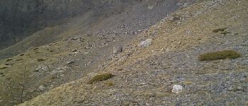 Point d'intérêt Péone - Vue sur petit troupeau de chamois - Photo