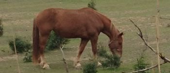 Punto di interesse Narbona - Ferme Equestre - Photo