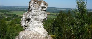 Punto di interesse Durbuy - Wéris - Discover the Megaliths - Photo