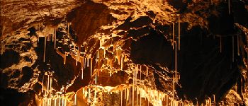 Point d'intérêt Hotton - Les Grottes de Hotton - Photo