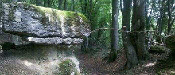 Point d'intérêt Ancy-Dornot - La pierre qui tourne - Photo