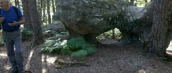 Point d'intérêt Fontainebleau - Roche Percée - Photo