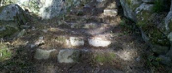 Point d'intérêt Fontainebleau - L'escalier de Danièle et Jean - Photo
