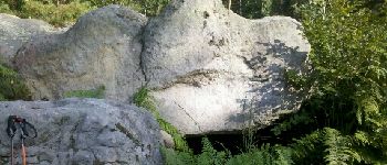 Point d'intérêt Fontainebleau - Abri orné N.O. Mont Aiveu - Photo