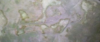 Point d'intérêt Fontainebleau - Gravures rupestres Mont Aiveu - cervidé - Photo