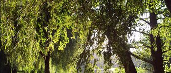 POI Beaussais-Vitré - Coucher de soleil sur le Lambon - Photo