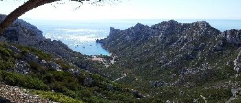 Point d'intérêt Marseille - Point 2 - Photo
