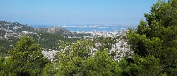 Point d'intérêt Marseille - Point 1 - Photo