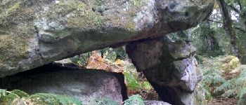 Punto di interesse Fontainebleau - Rocher 'K' - Photo