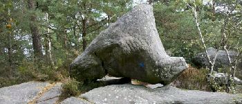 Point d'intérêt Fontainebleau - Rocher '*' - Photo
