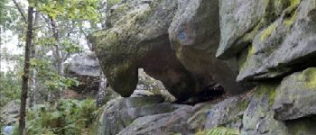 POI Fontainebleau - Rocher '5' - Photo