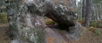 Point d'intérêt Fontainebleau - Rocher 2 - Photo