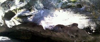 Punto di interesse Larchant - 6 - Sur les Crottes au Fer - Photo