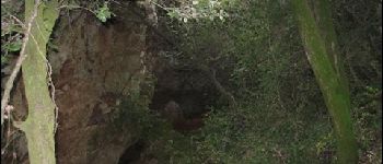 Punto de interés Aniane - grotte - Photo