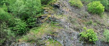 Point d'intérêt Léglise - 3 -Les roches affleurantes - Photo