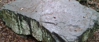 Punto di interesse Jalhay - dolmen  - Photo