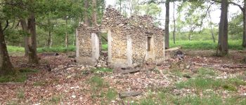 POI La Celle-les-Bordes - Ruine - Photo