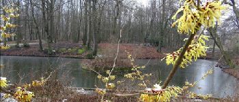Point d'intérêt Charleroi - Parc de la Serna - Photo