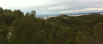 Punto de interés Marsella - Vue sur Marseille - Photo