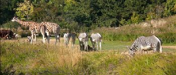 Punto di interesse Lione - Parc Zoologique - Photo