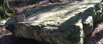 Punto di interesse Jalhay - le dolmen - Photo