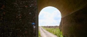 Punto de interés Gouvy - Le pont du chemin de fer - Photo