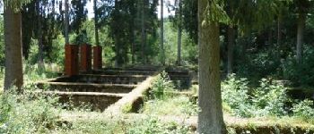 Point d'intérêt Wiltz - Les ruines du sanatorium - Photo