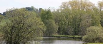 Punto de interés Wincrange - Les étangs de Weiler - Photo
